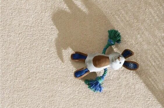 Sustainable Life image e1763133365556 - Perfect Home Flooring