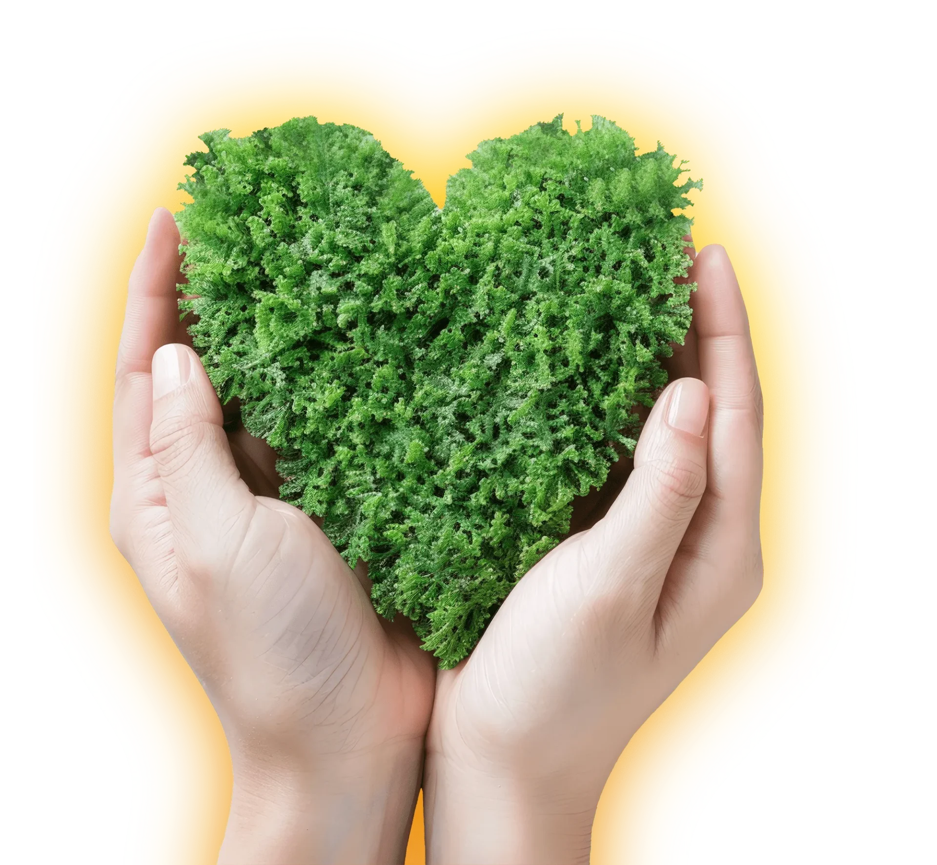 heart2 - Perfect Home Flooring